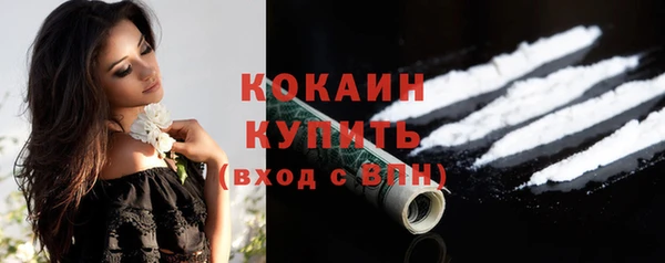 ПСИЛОЦИБИНОВЫЕ ГРИБЫ Бикин