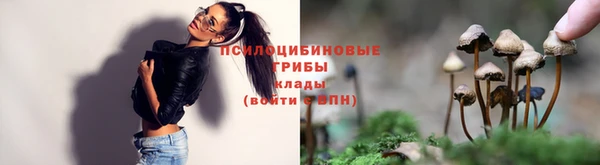 хмурый Нефтегорск