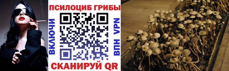 Псилоцибиновые грибы ЛСД Саки