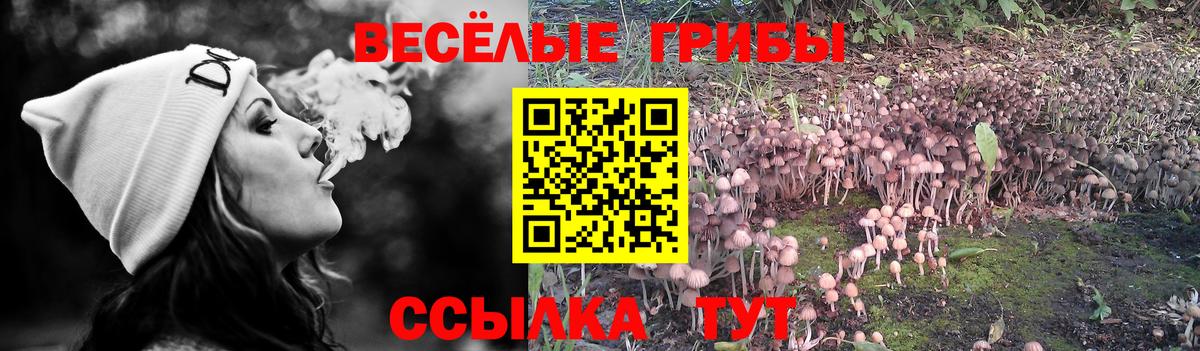 Галлюциногенные грибы ЛСД  Вход с VPN  Галлюциногенные грибы Psilocybine cubensis  Саки 