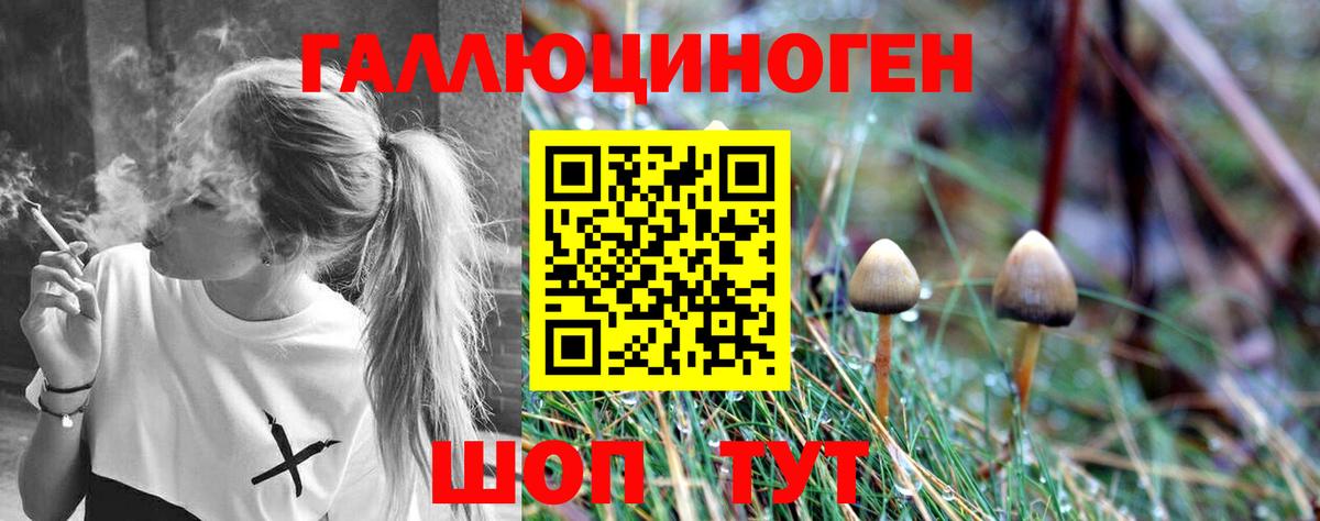 Псилоцибиновые грибы мухоморы Саки